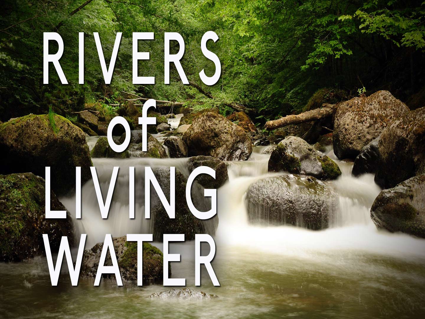 Streams Of Living Water Revdhjs Weblog